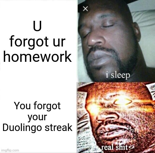 Sleeping Shaq | U forgot ur homework; You forgot your Duolingo streak | image tagged in memes,sleeping shaq | made w/ Imgflip meme maker