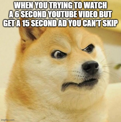 Who else relates to this | WHEN YOU TRYING TO WATCH A 6 SECOND YOUTUBE VIDEO BUT GET A 15 SECOND AD YOU CAN'T SKIP | image tagged in confused angery doge,memes,funny,youtube ads | made w/ Imgflip meme maker