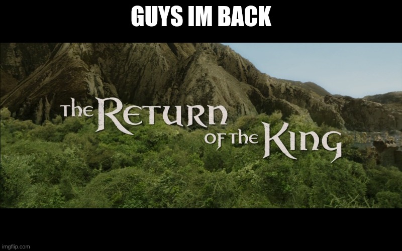 Return Of The King | GUYS IM BACK | image tagged in return of the king | made w/ Imgflip meme maker