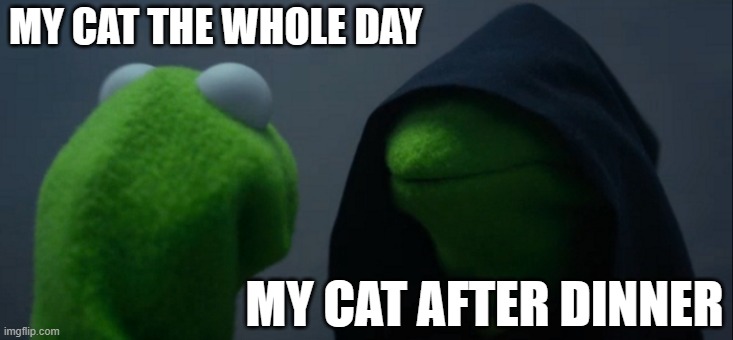 cats are devils | MY CAT THE WHOLE DAY; MY CAT AFTER DINNER | image tagged in memes,evil kermit | made w/ Imgflip meme maker