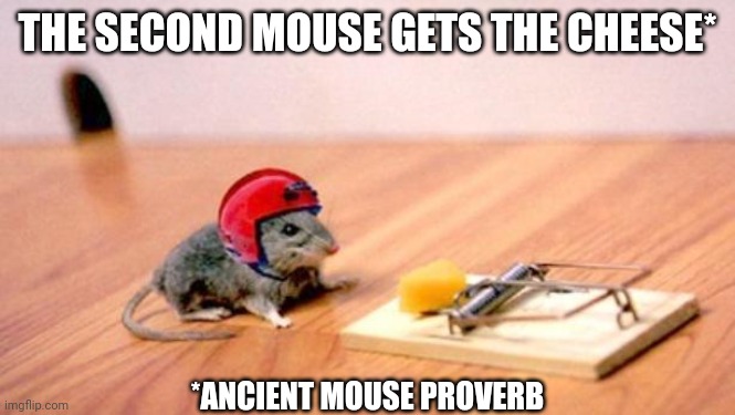 Mouse Trap | THE SECOND MOUSE GETS THE CHEESE* *ANCIENT MOUSE PROVERB | image tagged in mouse trap | made w/ Imgflip meme maker