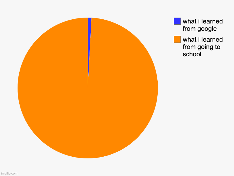 life | what i learned from going to school, what i learned from google | image tagged in charts,pie charts | made w/ Imgflip chart maker