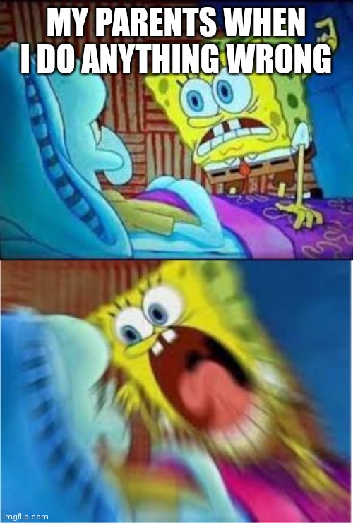 Spongebob screaming meme | MY PARENTS WHEN I DO ANYTHING WRONG | image tagged in spongebob screaming meme | made w/ Imgflip meme maker