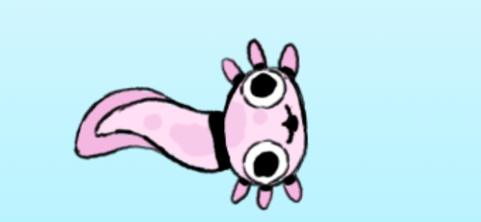 Axolotl  2 Blank Meme Template
