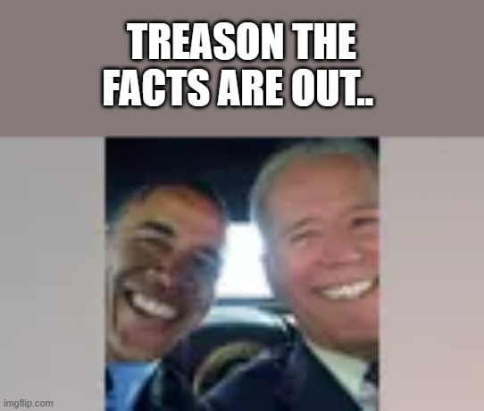 DEMrats can no longer deny it. MSM can't cover it up. | TREASON THE FACTS ARE OUT.. | image tagged in democrats,traitors,nwo | made w/ Imgflip meme maker