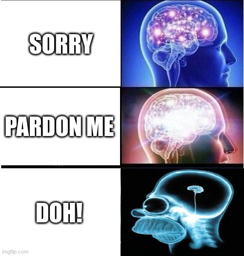 Expanding brain 3 panels | SORRY; PARDON ME; DOH! | image tagged in expanding brain 3 panels | made w/ Imgflip meme maker
