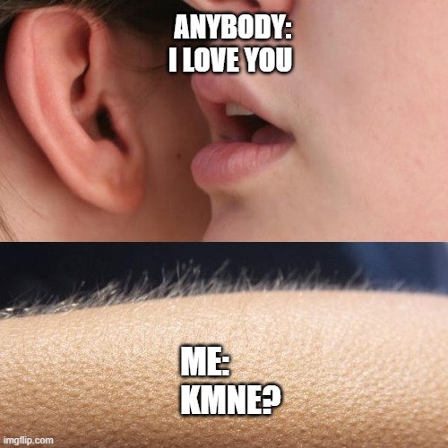 Whisper and Goosebumps | ANYBODY:
I LOVE YOU; ME:
        KMNE? | image tagged in whisper and goosebumps | made w/ Imgflip meme maker