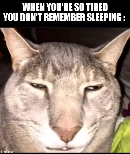 5 hours is something for me damn | WHEN YOU'RE SO TIRED YOU DON'T REMEMBER SLEEPING : | image tagged in why the long face | made w/ Imgflip meme maker