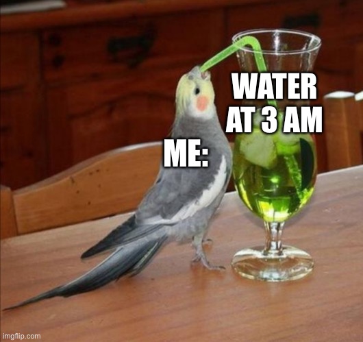 Bird drinking green juice | WATER AT 3 AM; ME: | image tagged in bird drinking green juice | made w/ Imgflip meme maker