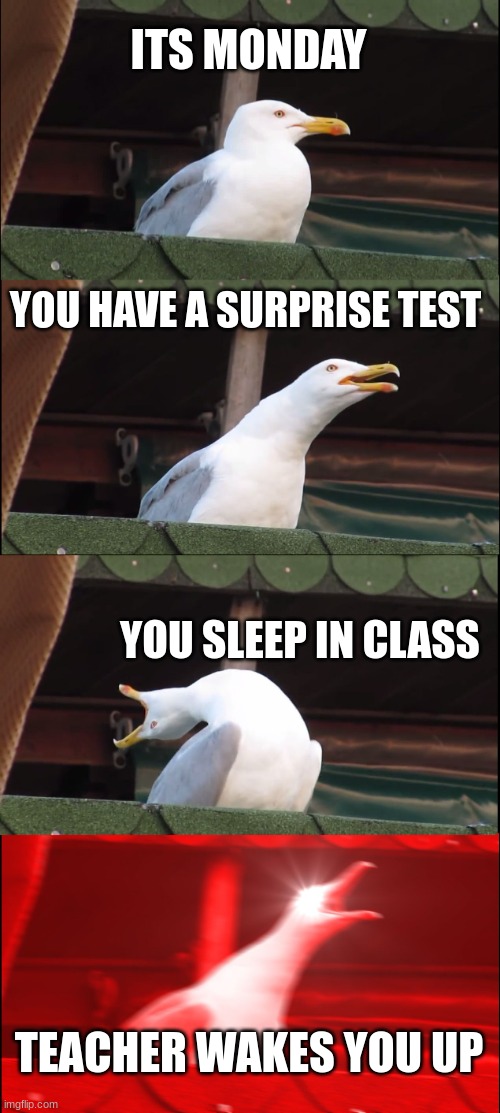 Inhaling Seagull Meme | ITS MONDAY; YOU HAVE A SURPRISE TEST; YOU SLEEP IN CLASS; TEACHER WAKES YOU UP | image tagged in memes,inhaling seagull | made w/ Imgflip meme maker