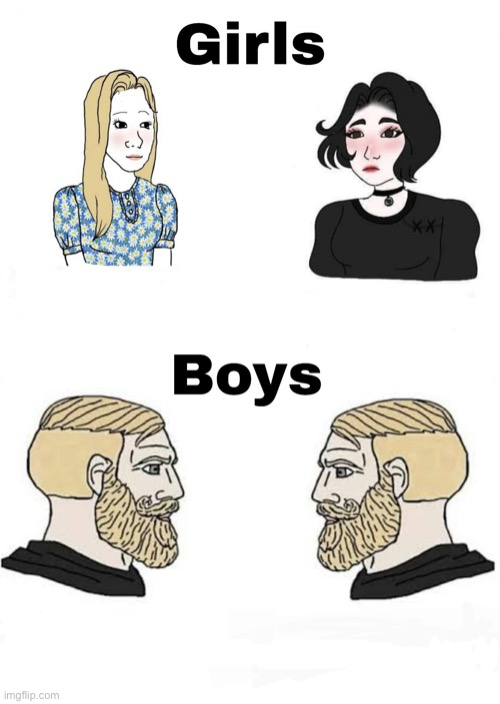 Girls vs Boys | image tagged in girls vs boys | made w/ Imgflip meme maker