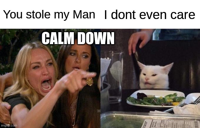 Pov:When your man get slolen by a cat | You stole my Man; I dont even care; CALM DOWN | image tagged in memes,woman yelling at cat | made w/ Imgflip meme maker