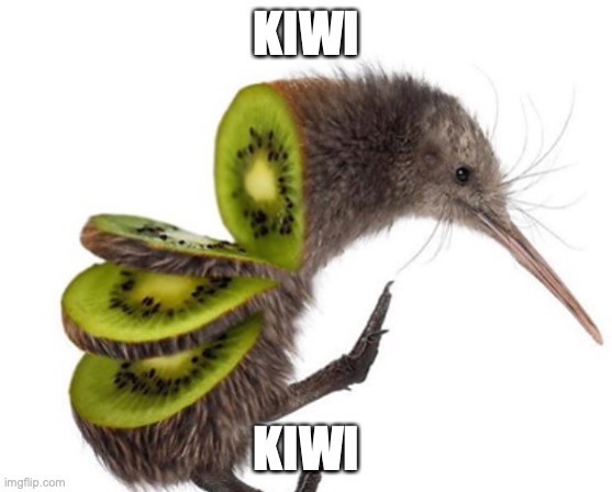 kiwi | KIWI; KIWI | image tagged in kiwi,bird,birds,fruit,vegetables,vegetarian | made w/ Imgflip meme maker
