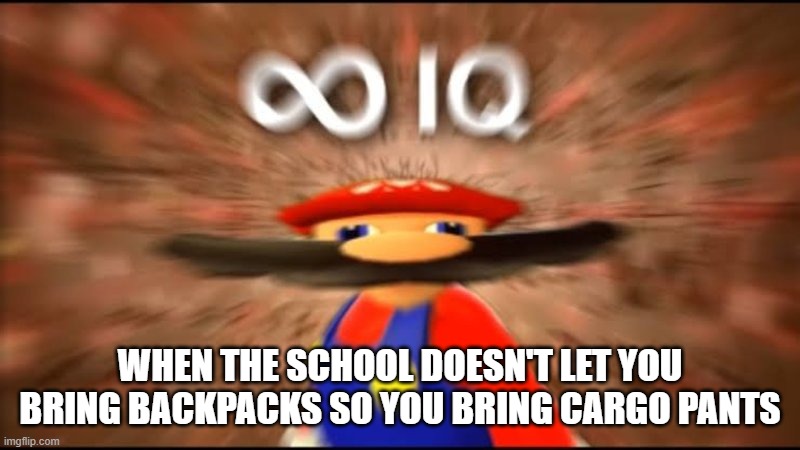 smorty smort smort | WHEN THE SCHOOL DOESN'T LET YOU BRING BACKPACKS SO YOU BRING CARGO PANTS | image tagged in marios infinite iq | made w/ Imgflip meme maker