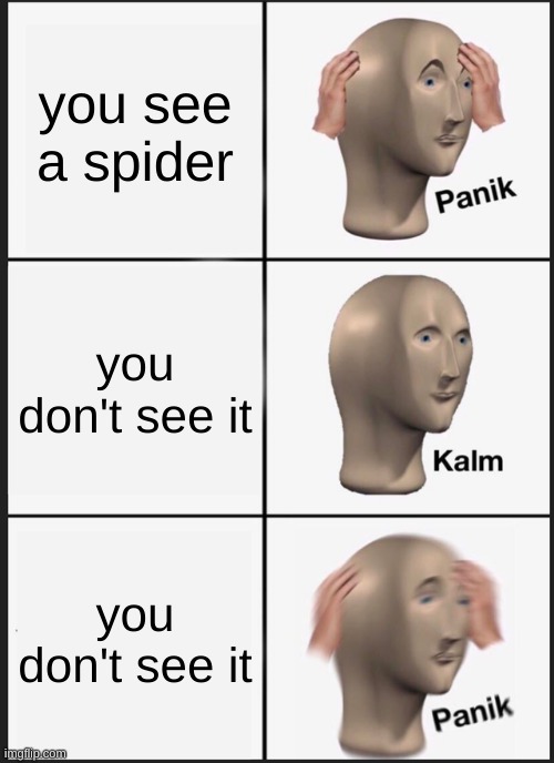 Panik Kalm Panik Meme | you see a spider; you don't see it; you don't see it | image tagged in memes,panik kalm panik | made w/ Imgflip meme maker