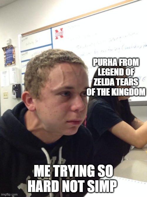 Boy holding his breath | PURHA FROM LEGEND OF ZELDA TEARS OF THE KINGDOM; ME TRYING SO HARD NOT SIMP | image tagged in boy holding his breath | made w/ Imgflip meme maker