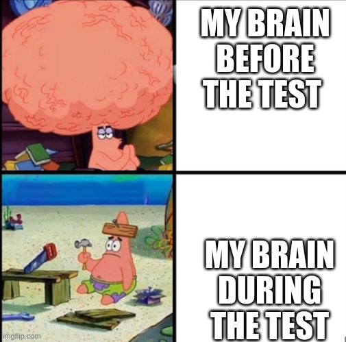 patrick big brain | MY BRAIN BEFORE THE TEST; MY BRAIN DURING THE TEST | image tagged in patrick big brain | made w/ Imgflip meme maker