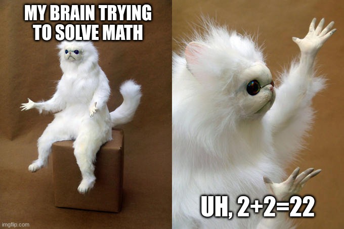 Im very bad at math | MY BRAIN TRYING TO SOLVE MATH; UH, 2+2=22 | image tagged in memes,persian cat room guardian,math | made w/ Imgflip meme maker