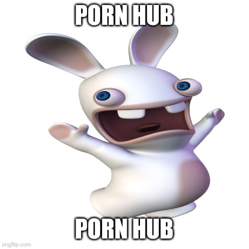 Pornhub | PORN HUB; PORN HUB | image tagged in pornhub,rabbids | made w/ Imgflip meme maker