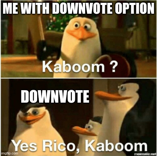 ME WITH DOWNVOTE OPTION DOWNVOTE | image tagged in kaboom yes rico kaboom | made w/ Imgflip meme maker