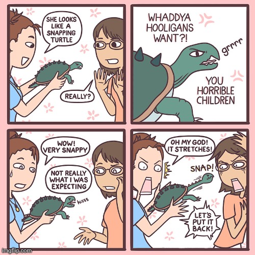 The snapping turtle | image tagged in snap,snapping,turtle,turtles,comics,comics/cartoons | made w/ Imgflip meme maker