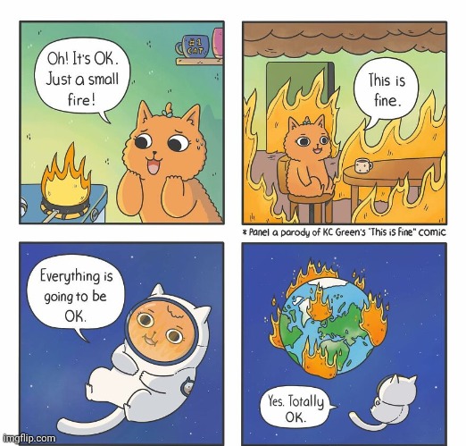 This is fine cat version | image tagged in this is fine,cat,cats,fire,comics,comics/cartoons | made w/ Imgflip meme maker