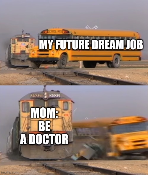 Bus | MY FUTURE DREAM JOB; MOM: BE A DOCTOR | image tagged in a train hitting a school bus | made w/ Imgflip meme maker