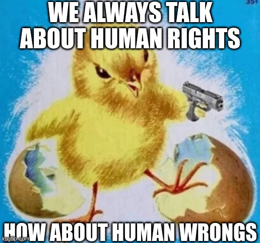 badass chick | WE ALWAYS TALK ABOUT HUMAN RIGHTS; HOW ABOUT HUMAN WRONGS | image tagged in badass chick | made w/ Imgflip meme maker