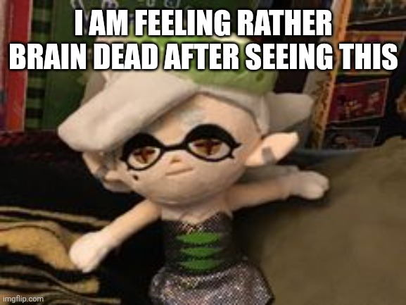 I AM FEELING RATHER BRAIN DEAD AFTER SEEING THIS | image tagged in marie plush template | made w/ Imgflip meme maker