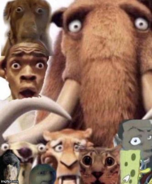 everyone is fucking terrified | image tagged in everyone is fucking terrified | made w/ Imgflip meme maker
