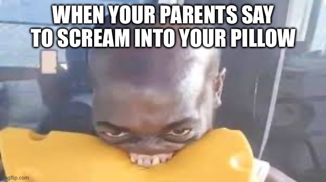 WHEN YOUR PARENTS SAY TO SCREAM INTO YOUR PILLOW | image tagged in relatable | made w/ Imgflip meme maker
