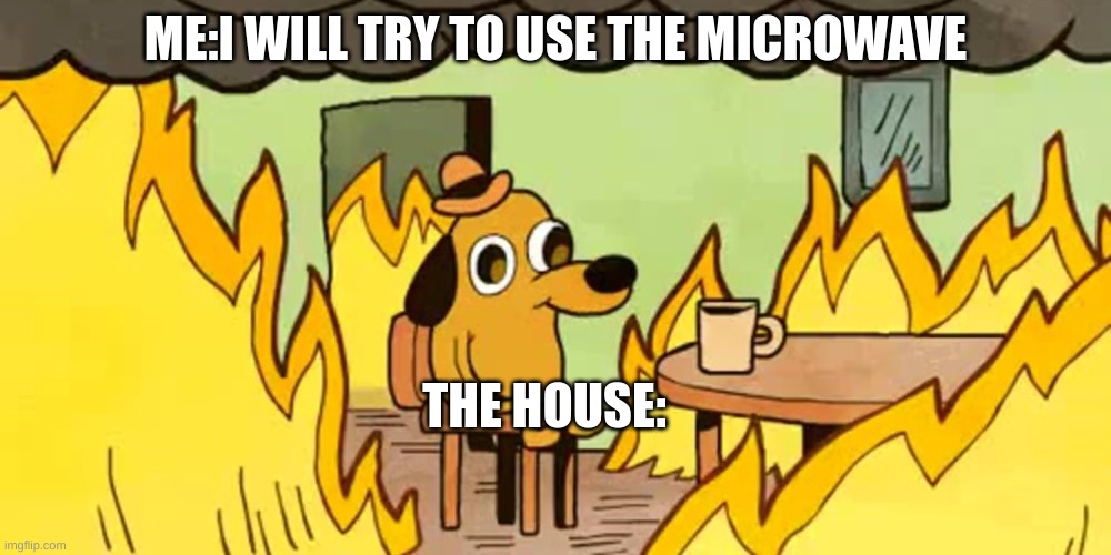 yayyy cooking | ME:I WILL TRY TO USE THE MICROWAVE; THE HOUSE: | image tagged in dog on fire,cooking,fire,memes,home | made w/ Imgflip meme maker