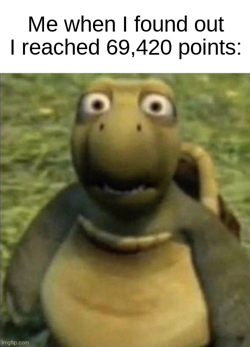 69420 | Me when I found out I reached 69,420 points: | image tagged in shocked turtle,funny memes,memes,dank memes,fun | made w/ Imgflip meme maker