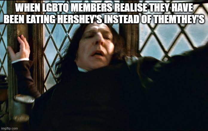 Professor Snape | WHEN LGBTQ MEMBERS REALISE THEY HAVE BEEN EATING HERSHEY'S INSTEAD OF THEMTHEY'S | image tagged in professor snape | made w/ Imgflip meme maker