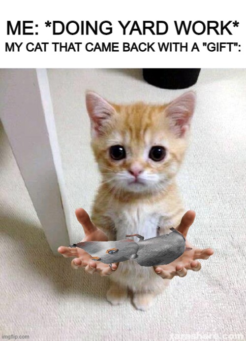 No kitty, we're in the modern times, not the cave times XDD | ME: *DOING YARD WORK*; MY CAT THAT CAME BACK WITH A "GIFT": | image tagged in memes,cute cat | made w/ Imgflip meme maker