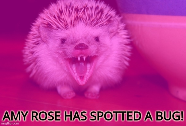But why? Why would you do that? | AMY ROSE HAS SPOTTED A BUG! | image tagged in irl,amy rose,but why tho | made w/ Imgflip meme maker