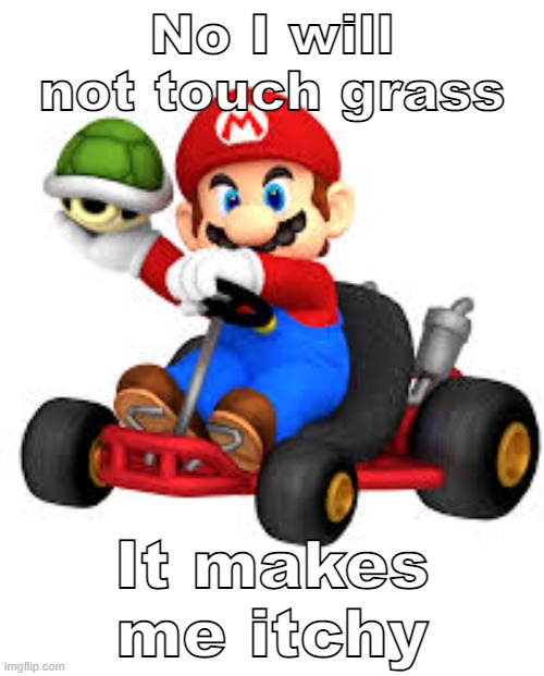 Mario Kart | No I will not touch grass; It makes me itchy | image tagged in mario kart | made w/ Imgflip meme maker