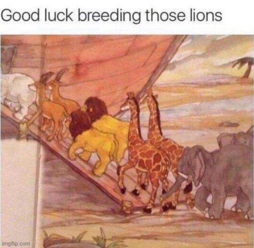 huh? guess those lions predicted lgbt | made w/ Imgflip meme maker