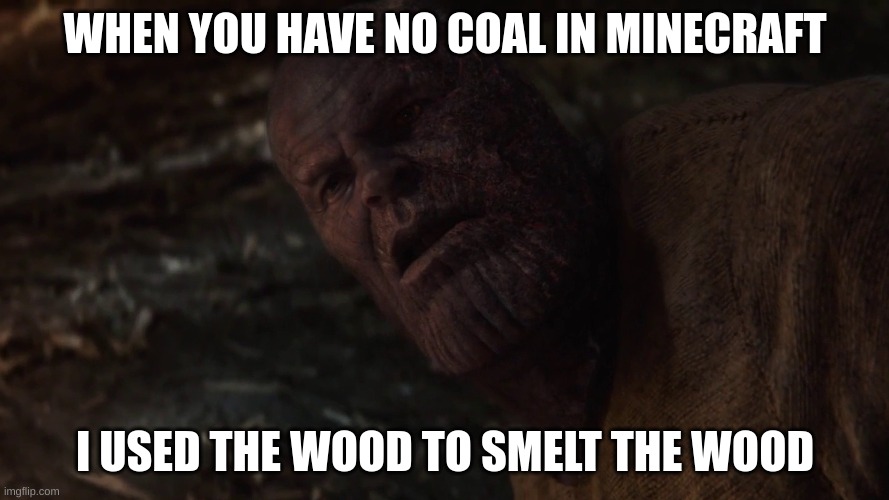 HI | WHEN YOU HAVE NO COAL IN MINECRAFT; I USED THE WOOD TO SMELT THE WOOD | image tagged in i used the stones to destroy the stones blank | made w/ Imgflip meme maker