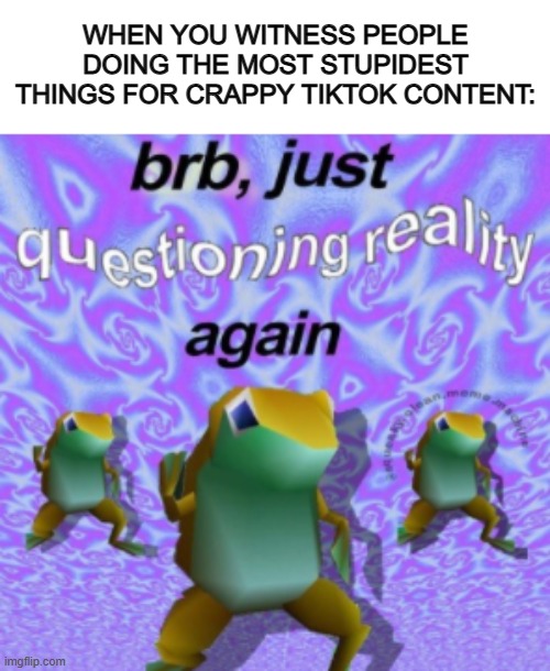 People are straight up weird nowadays :/ | WHEN YOU WITNESS PEOPLE DOING THE MOST STUPIDEST THINGS FOR CRAPPY TIKTOK CONTENT: | image tagged in brb just questioning reality again | made w/ Imgflip meme maker