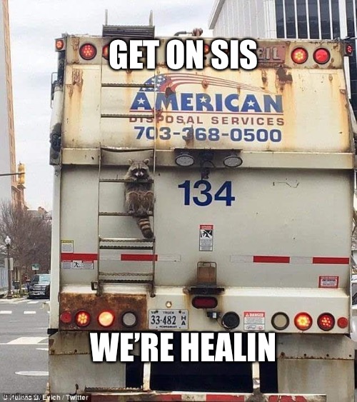 Undercover Racoon | GET ON SIS; WE’RE HEALIN | image tagged in undercover racoon | made w/ Imgflip meme maker