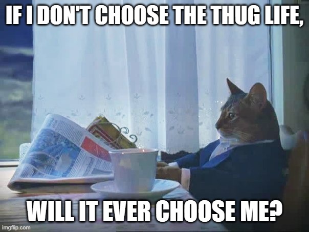 Cat humor | IF I DON'T CHOOSE THE THUG LIFE, WILL IT EVER CHOOSE ME? | image tagged in cat reading newspaper,thug life,deep thoughts | made w/ Imgflip meme maker