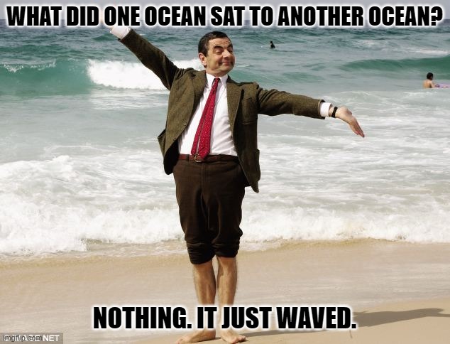 Daily Bad Dad Joke May 22, 2023 | WHAT DID ONE OCEAN SAT TO ANOTHER OCEAN? NOTHING. IT JUST WAVED. | image tagged in mr bean at the ocean | made w/ Imgflip meme maker