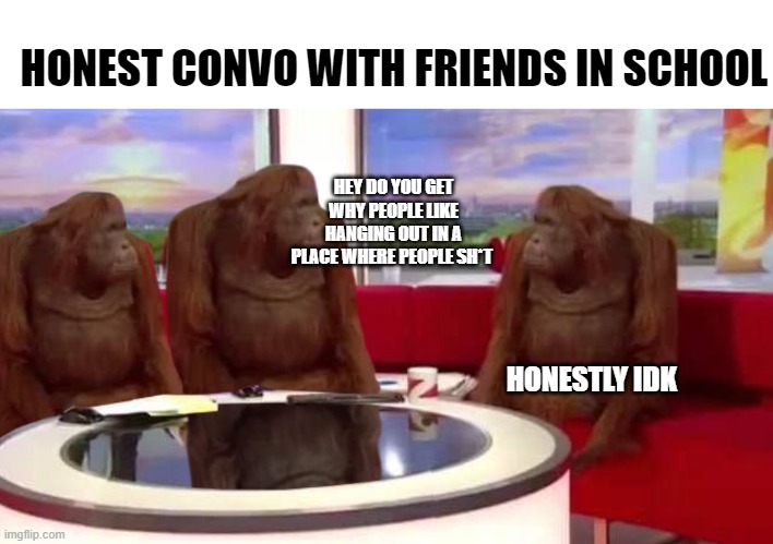 hahahah | HONEST CONVO WITH FRIENDS IN SCHOOL; HEY DO YOU GET WHY PEOPLE LIKE HANGING OUT IN A PLACE WHERE PEOPLE SH*T; HONESTLY IDK | image tagged in where monkey | made w/ Imgflip meme maker