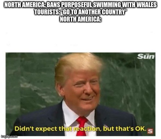 life sure does find a way | NORTH AMERICA: BANS PURPOSEFUL SWIMMING WITH WHALES
TOURISTS: *GO TO ANOTHER COUNTRY*
NORTH AMERICA: | image tagged in trump didn't expect that reaction | made w/ Imgflip meme maker
