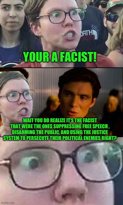 Yep | YOUR A FACIST! WAIT YOU DO REALIZE IT’S THE FACIST THAT WERE THE ONES SUPPRESSING FREE SPEECH , DISARMING THE PUBLIC, AND USING THE JUSTICE SYSTEM TO PERSECUTE THEIR POLITICAL ENEMIES RIGHT? | image tagged in inception liberal | made w/ Imgflip meme maker