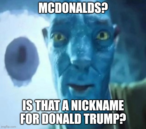 Avatar guy | MCDONALDS? IS THAT A NICKNAME FOR DONALD TRUMP? | image tagged in avatar guy | made w/ Imgflip meme maker
