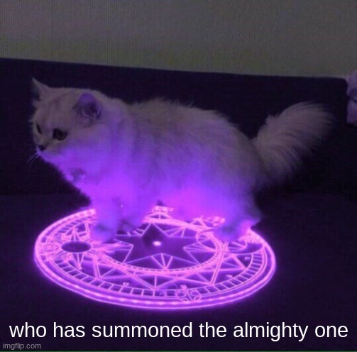 Who has summoned the almighty one | who has summoned the almighty one | image tagged in who has summoned the almighty one | made w/ Imgflip meme maker