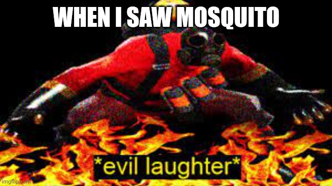 I hate mosquitos | WHEN I SAW MOSQUITO | image tagged in evil laughter,memes,fire | made w/ Imgflip meme maker