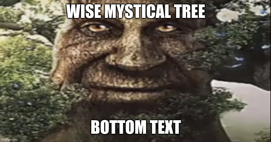 Wise mystical tree | WISE MYSTICAL TREE; BOTTOM TEXT | image tagged in wise mystical tree | made w/ Imgflip meme maker